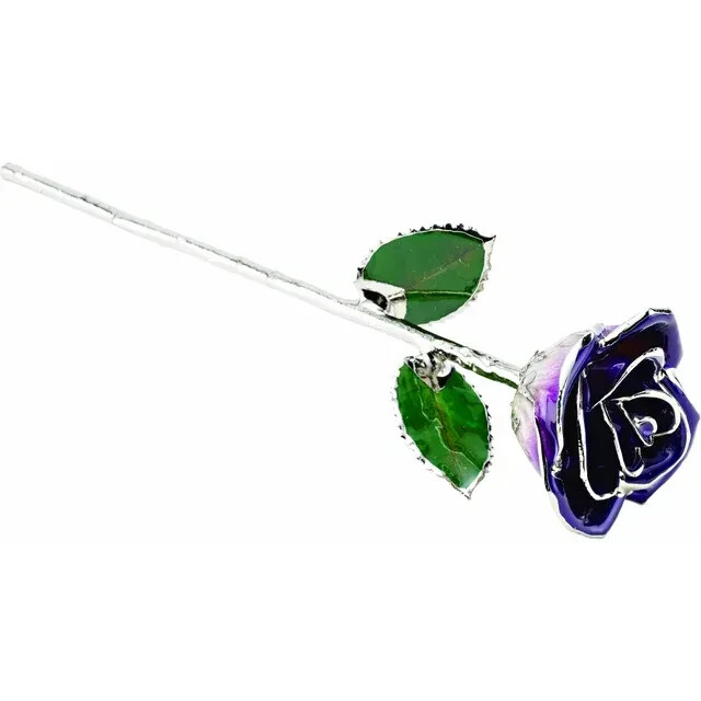 Genuine Purple Rose with Platinum Trim