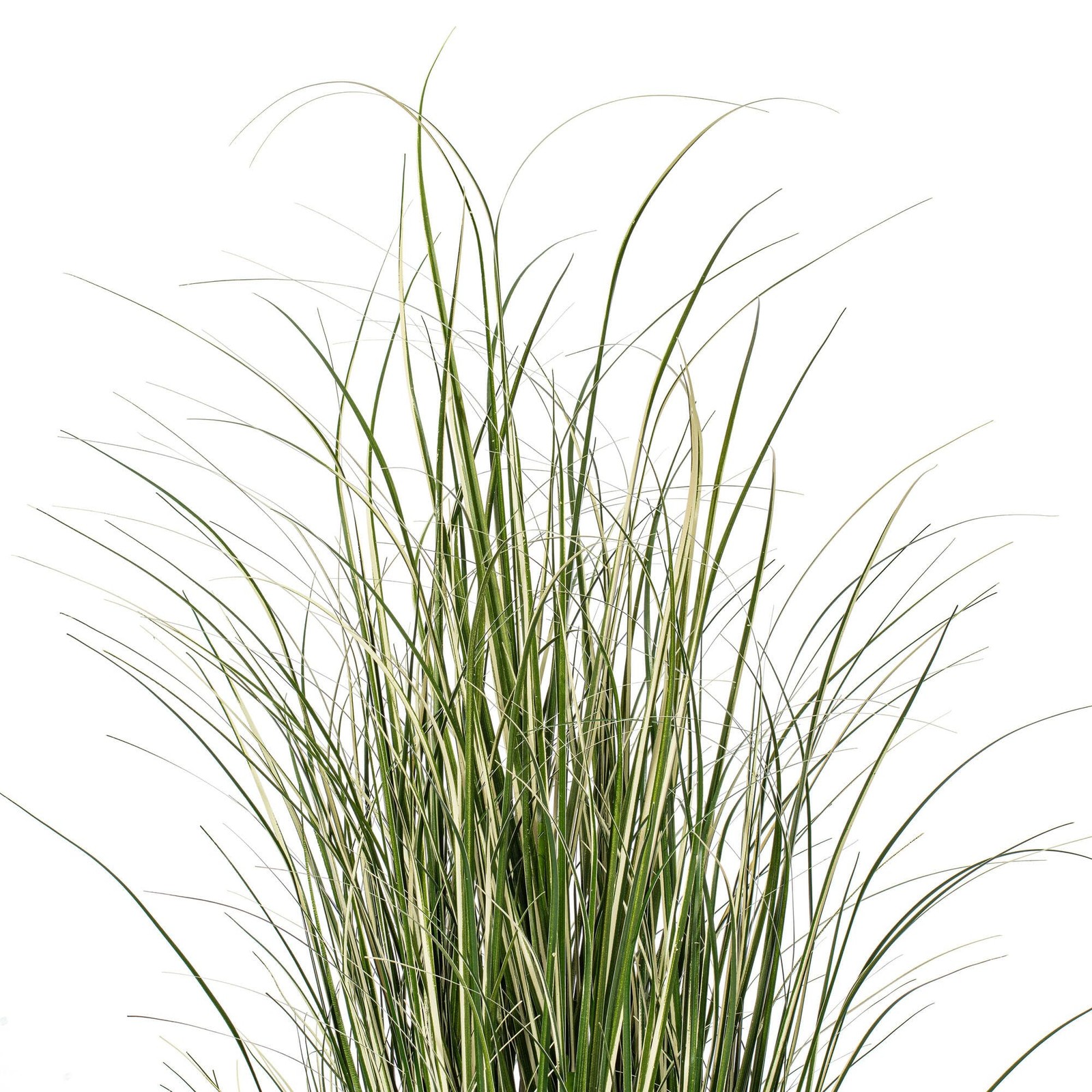 Vickerman 59″ Artificial Potted Native Green Grass.