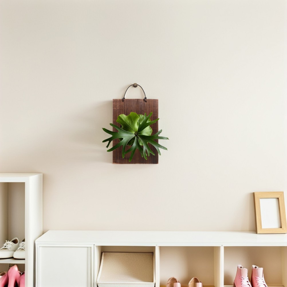 Fern Mounting Board: Solid Wood Vertical Planting Board, Hanging Plant