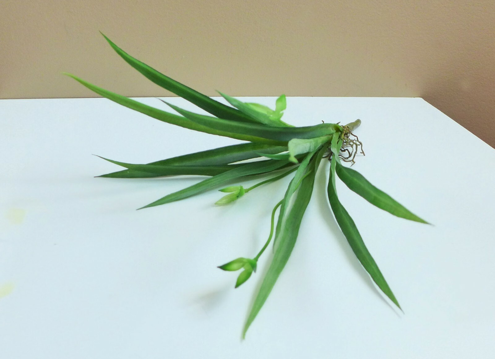 2 Pcs Artificial Grass Green Flower Orchid Plastic Home Garden Decora (#94)