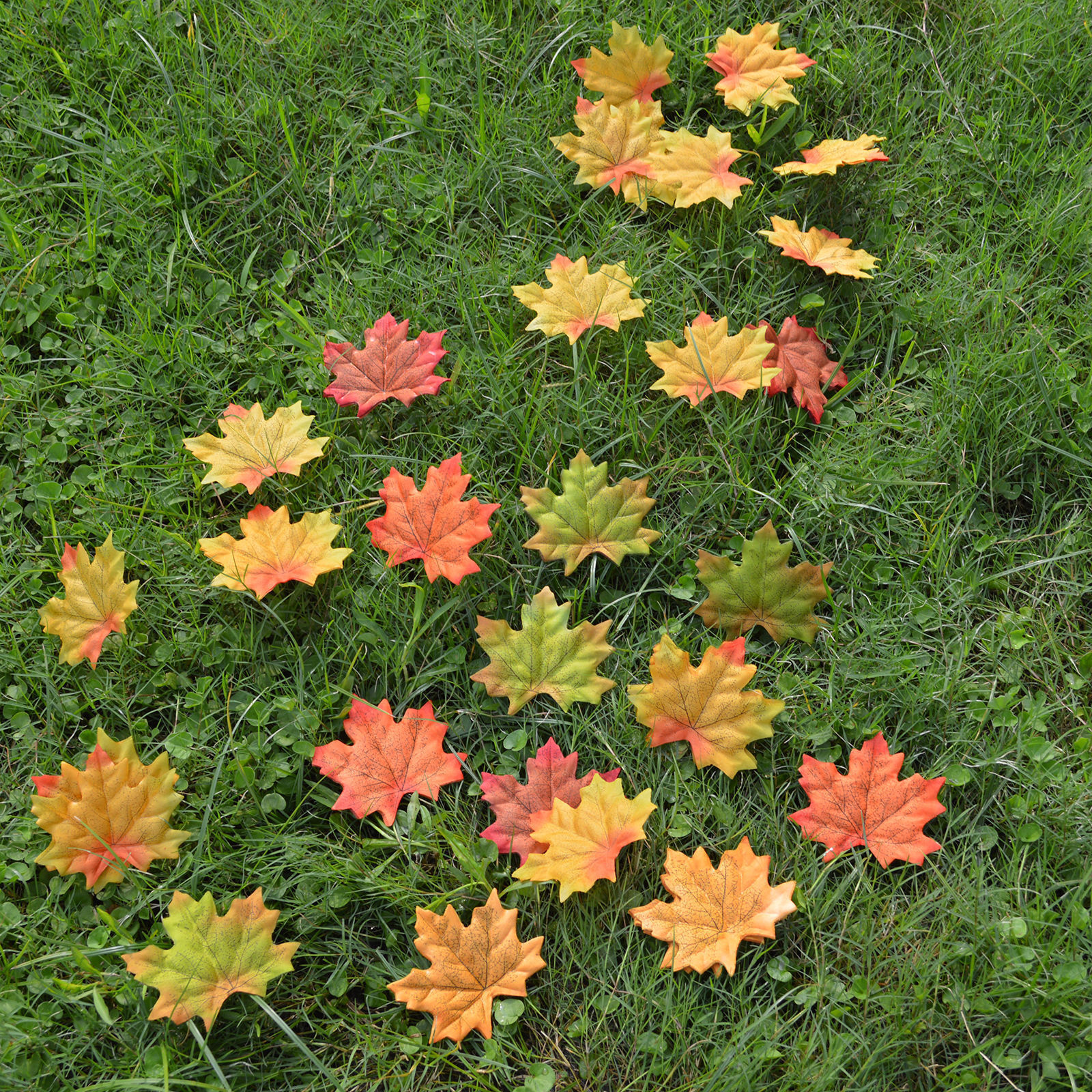 100pcs 6 colors Fall Silk Leaves Wedding Favor Autumn Maple Leaf Decorations