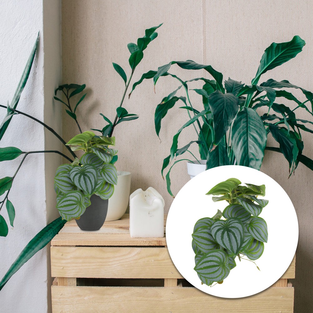 Compact Artificial Plant Faux Watermelon Leaves for Desk Decor