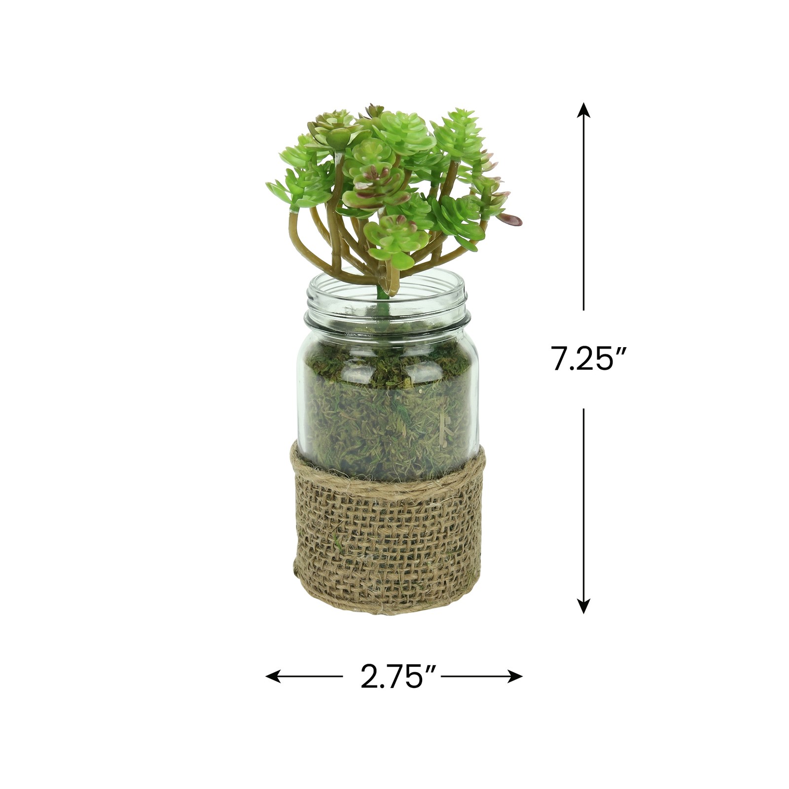 Melrose Artificial Potted Crassula Succulent Plant Glass Jar Burlap Grip 7.25″