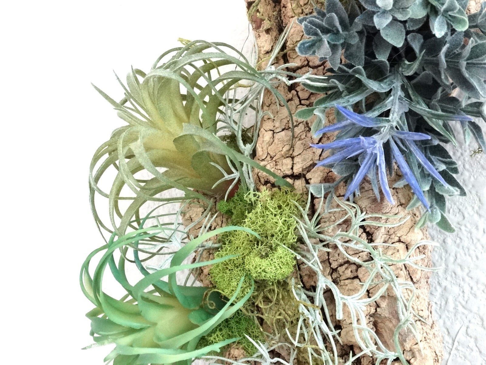 Home Decor Bathroom Wall Art Real Bark Artificial Air Plant Handmade USA