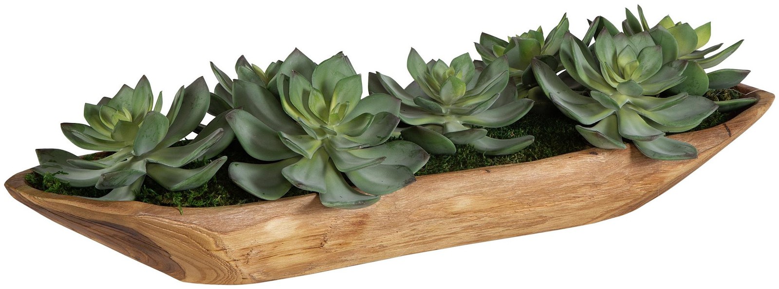 Uttermost 60205 Yuma 8″ Tall Wood Faux Flora Planter – Natural