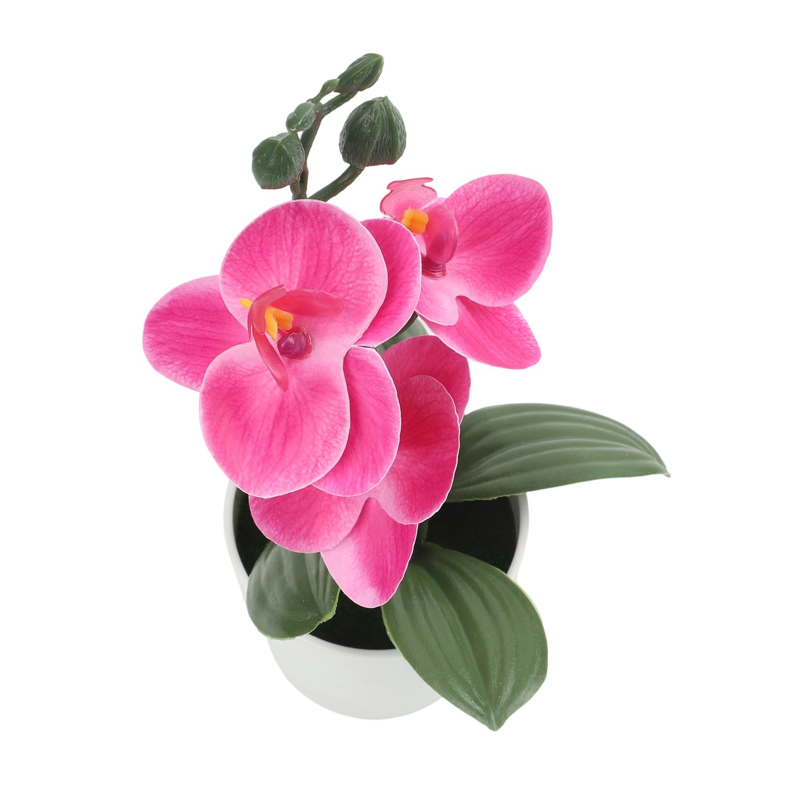 Phalaenopsis Bonsai Decorative Faux Plant Table Decoration Long-lasting Beauty