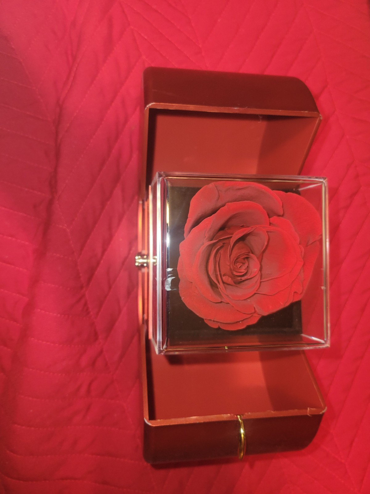 READ DESC Heart/apple?shaped jewelry box with glass cased rose inside + necklace