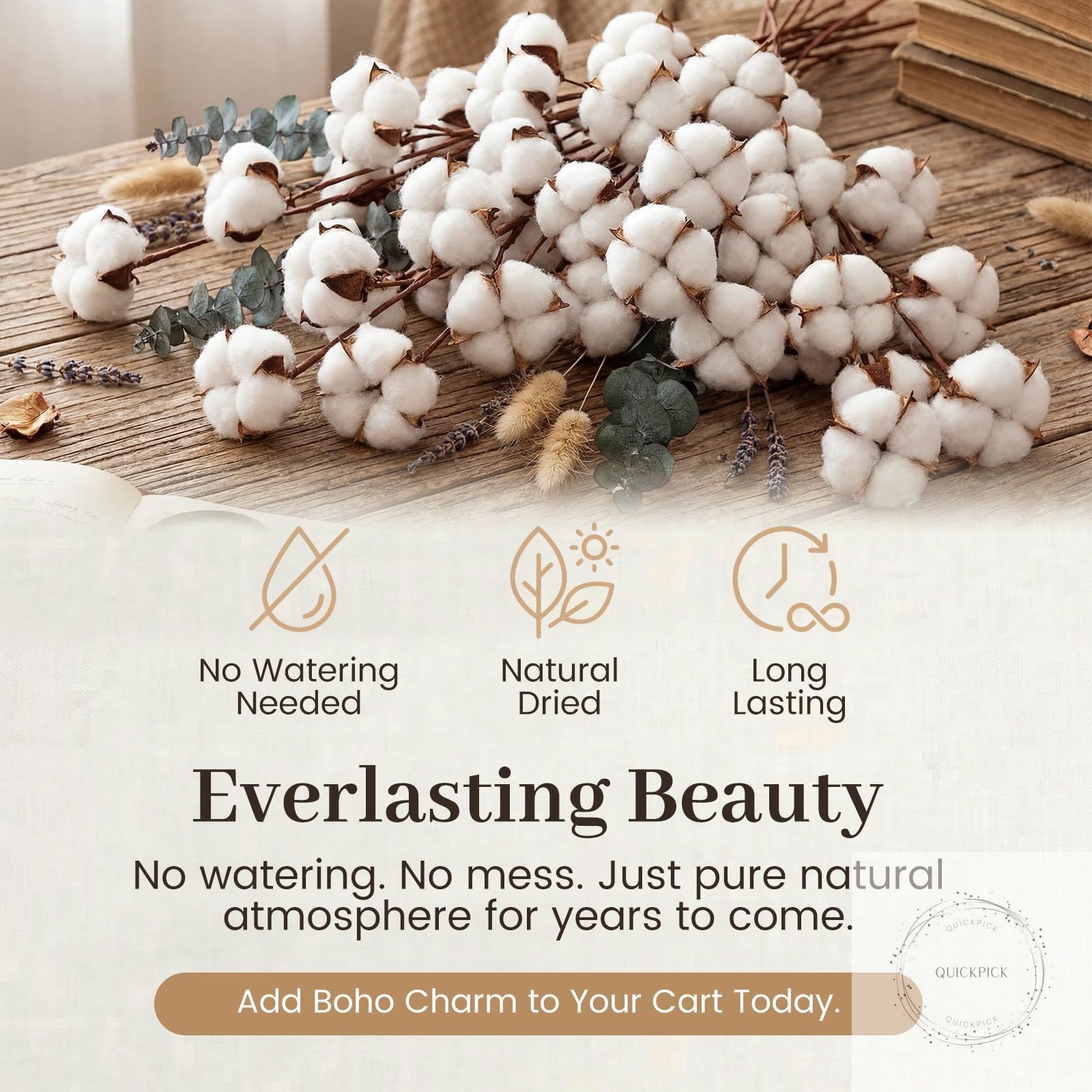 Cotton Stems 8 Packs with 15 Bolls, Natural Dried Flowers Cotton Sprigs for Vase