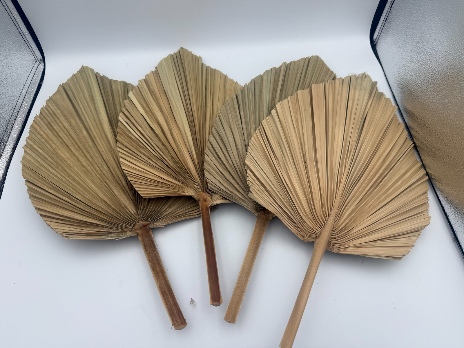 Dried Palm Leaves Fan Wall Decor Kit Natural Ornamental Grass Stems 16-17 in