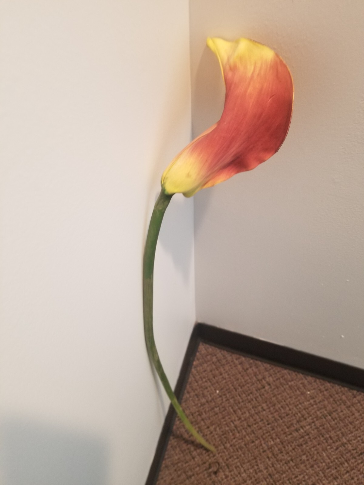 (5 FLOWERS) LILY ARTIFICIAL MULTICOLOR FLOWER, 33″ TALL