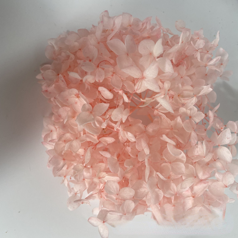 50g Bulk Dried Artificial Flowers for Gift Photograph Props Party Wedding Decor