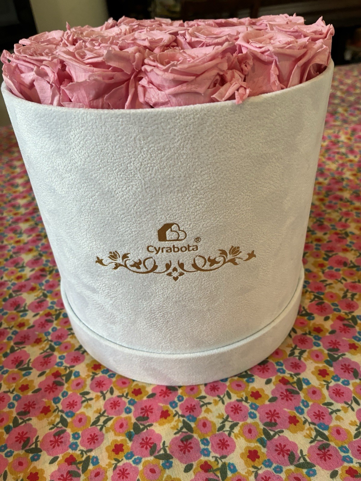 Cyrabota Luxury Preserved Pink Roses in White Suede Box 16 Count