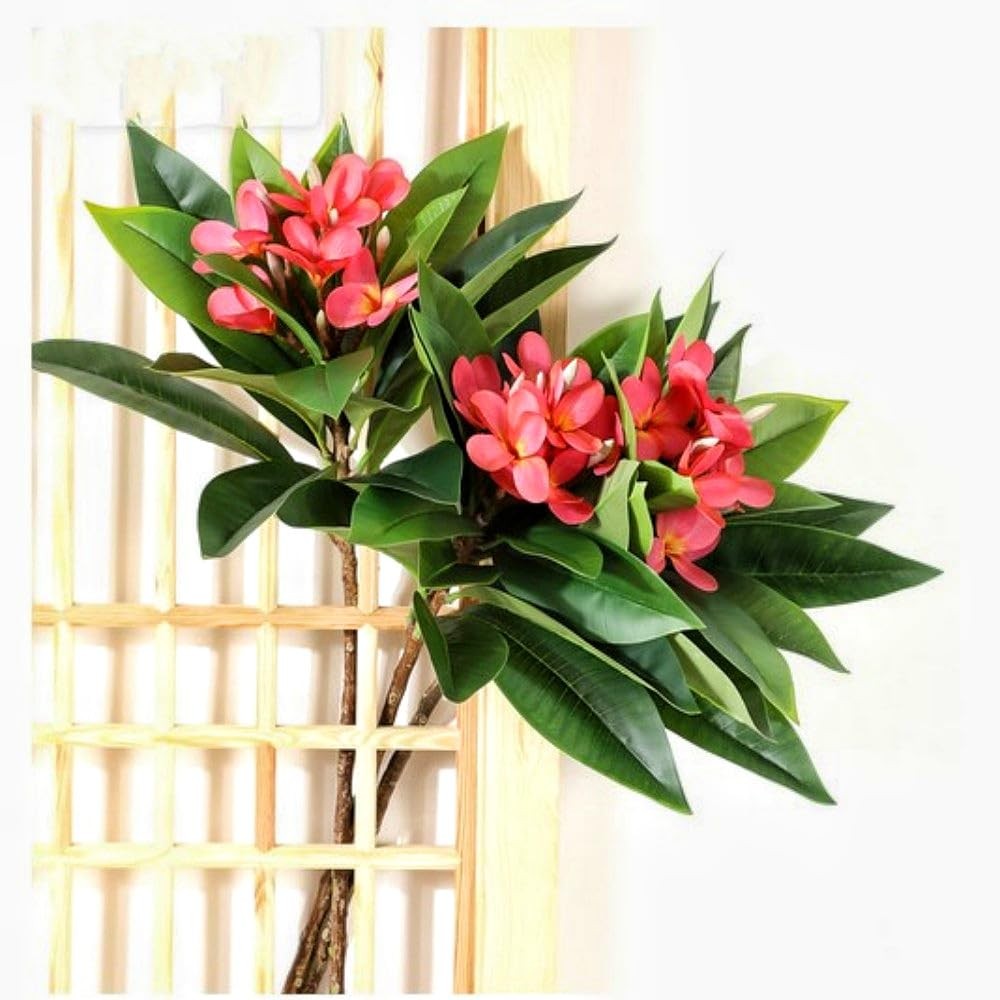35.5 Inch Artificial Flowers Artificial Frangipani Flower 2 Stems Lifelike Re…