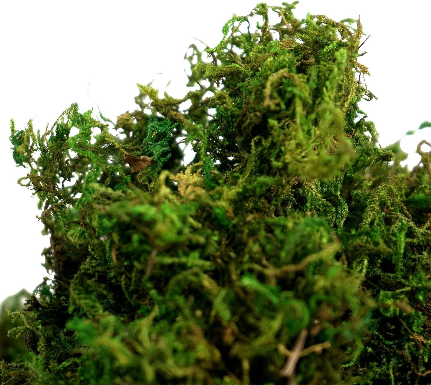 225g Compressed Faux Moss in Fresh Green – Ideal for Centerpieces & Crafts