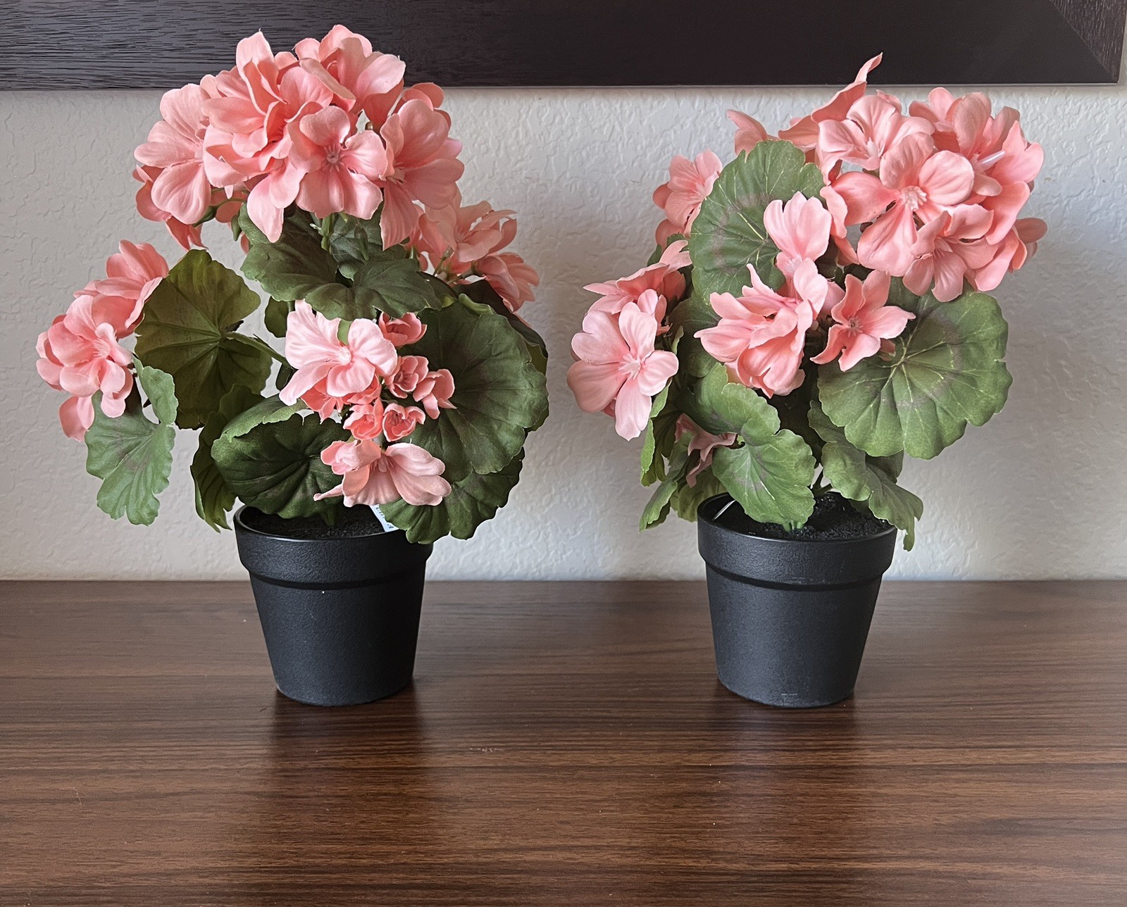 SET OF (2) 13″ GERANIUM POTTED PLANTS IN PEACH BY VALERIE PARR HILL Item H451619