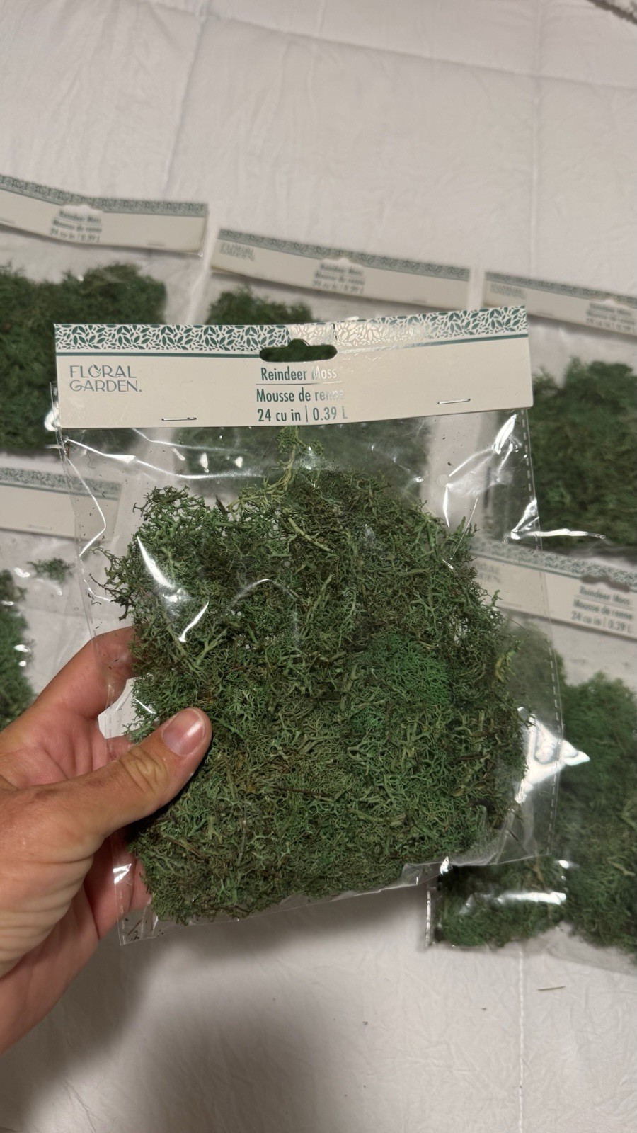 Floral Garden Reindeer Moss, 24-cu-in. Set of 6