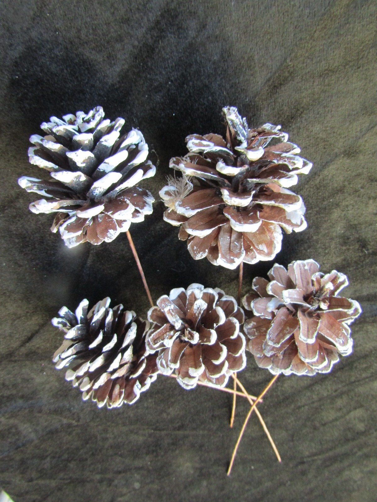 Pinecone Plant Picks Lot of 5 Vintage Christmas