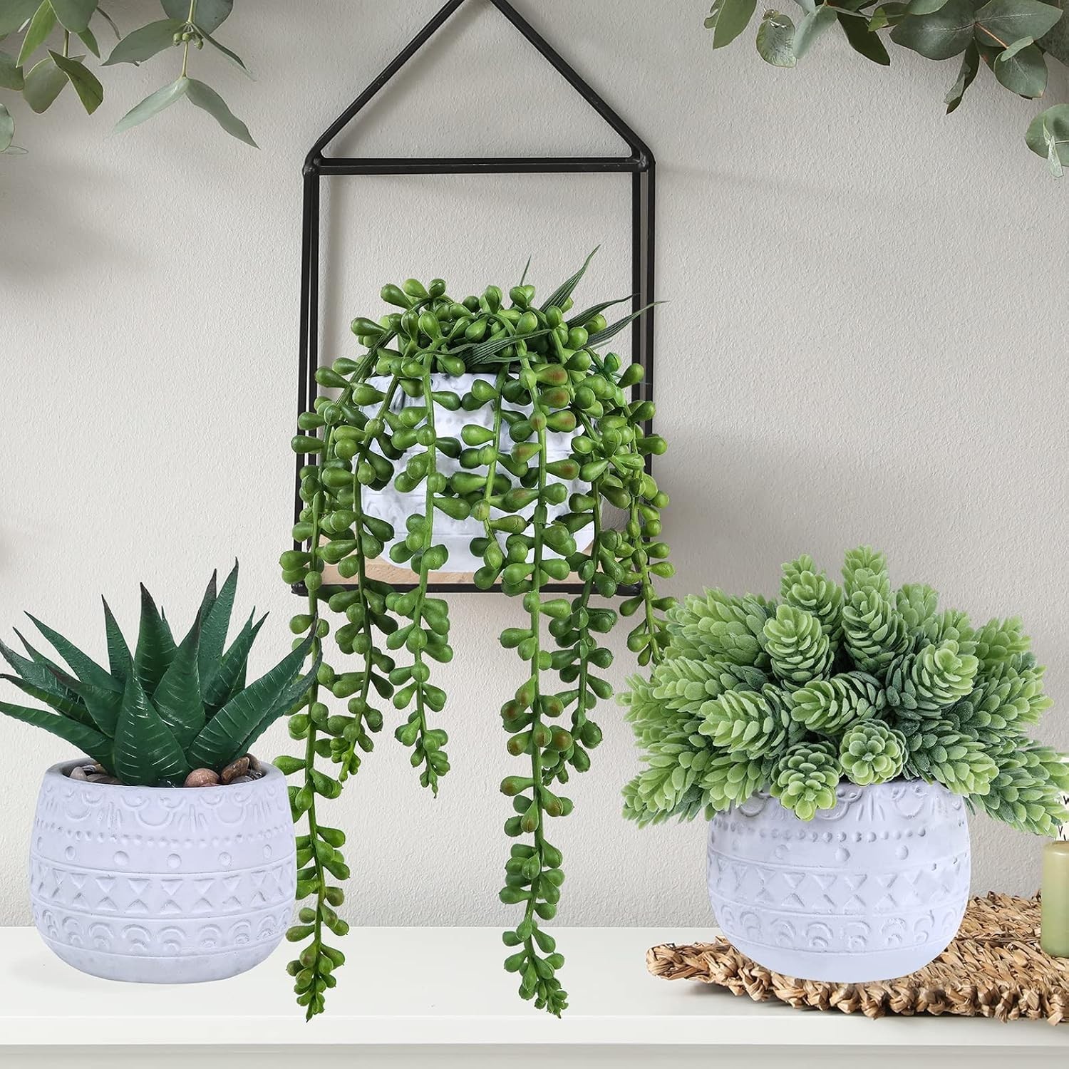 Elegant Succulent Trio in Geometric Ceramic Pots – Perfect for All Occasions