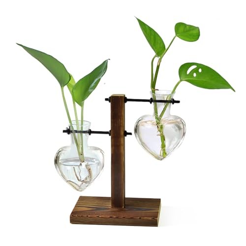 Plant Terrarium Wooden Stand, Hydroponic Planter Bulb Glass Metal Swivel