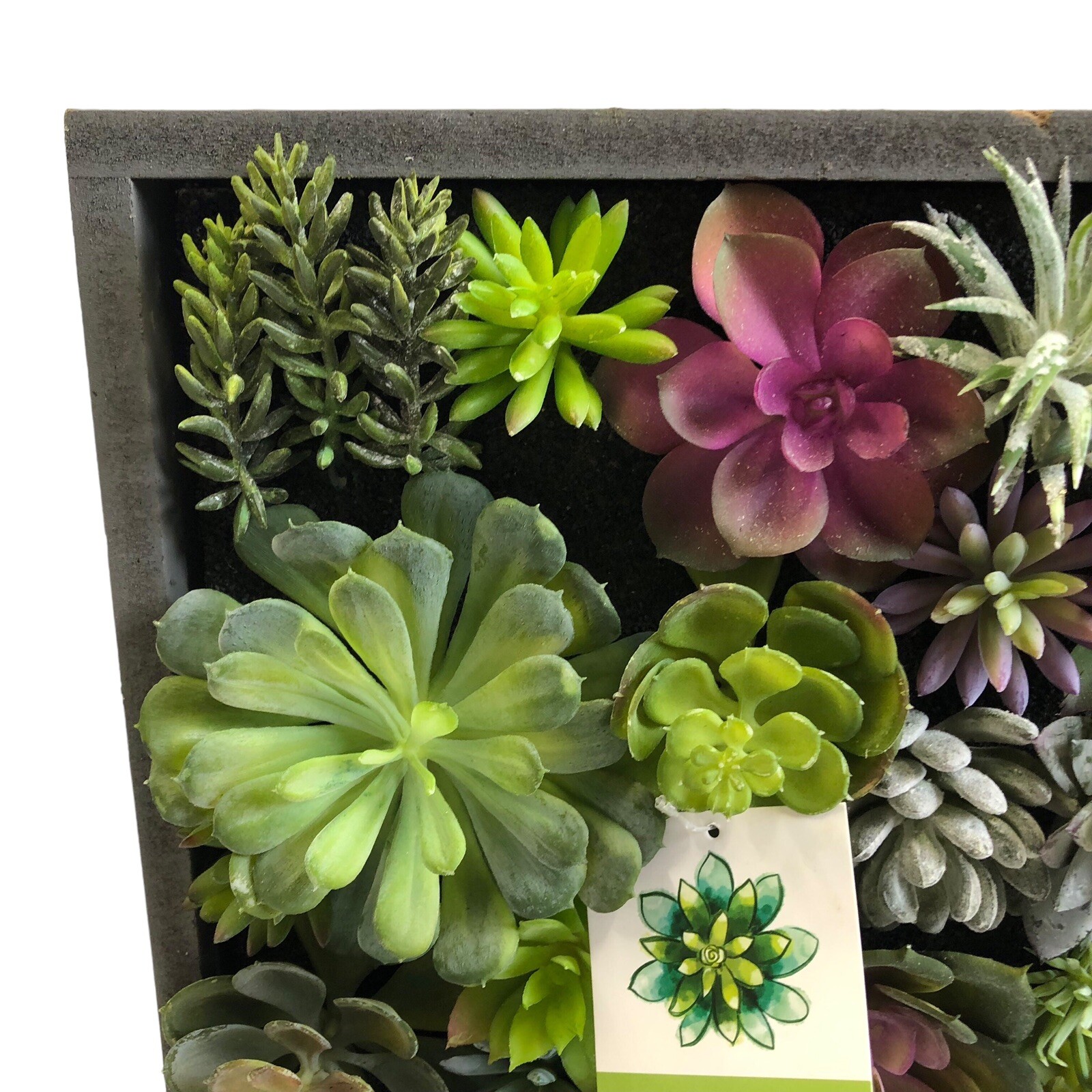 WALL OF FAUX SUCCULENT Cactus in Gray Wood Box Decor Display 12x12x3 inches New