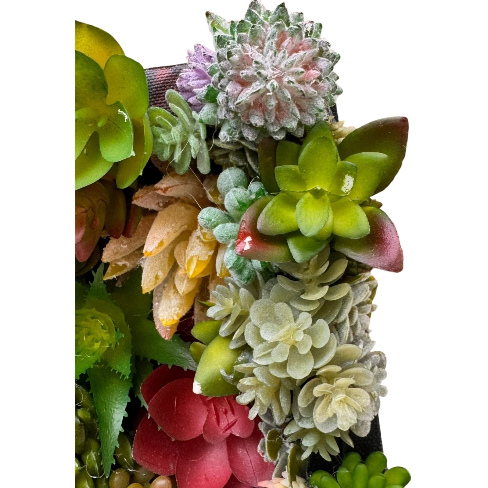 Succulent Wall Art Boho Faux Botanical Decor 8x8x2