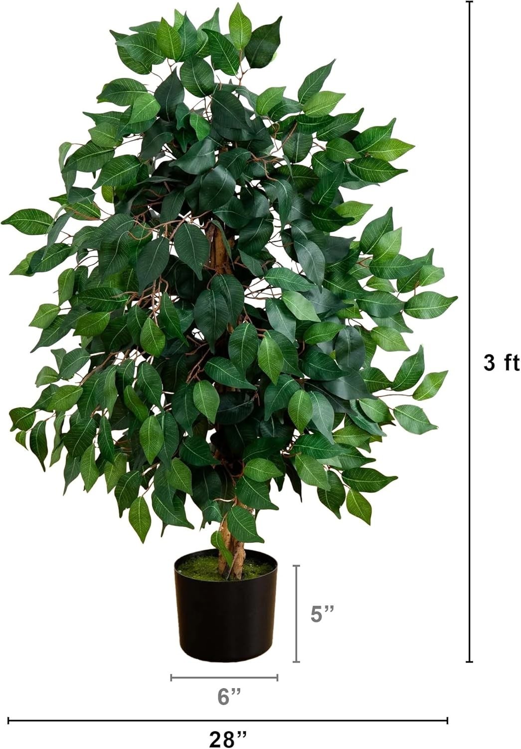 Elegant 36in Ficus Tree with 378 Leaves – A Touch of Green for Every Home