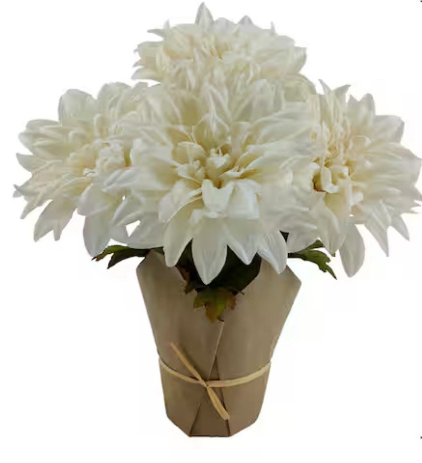 12” Potted Dark White Spider Mum by Ashland Table Centerpiece New