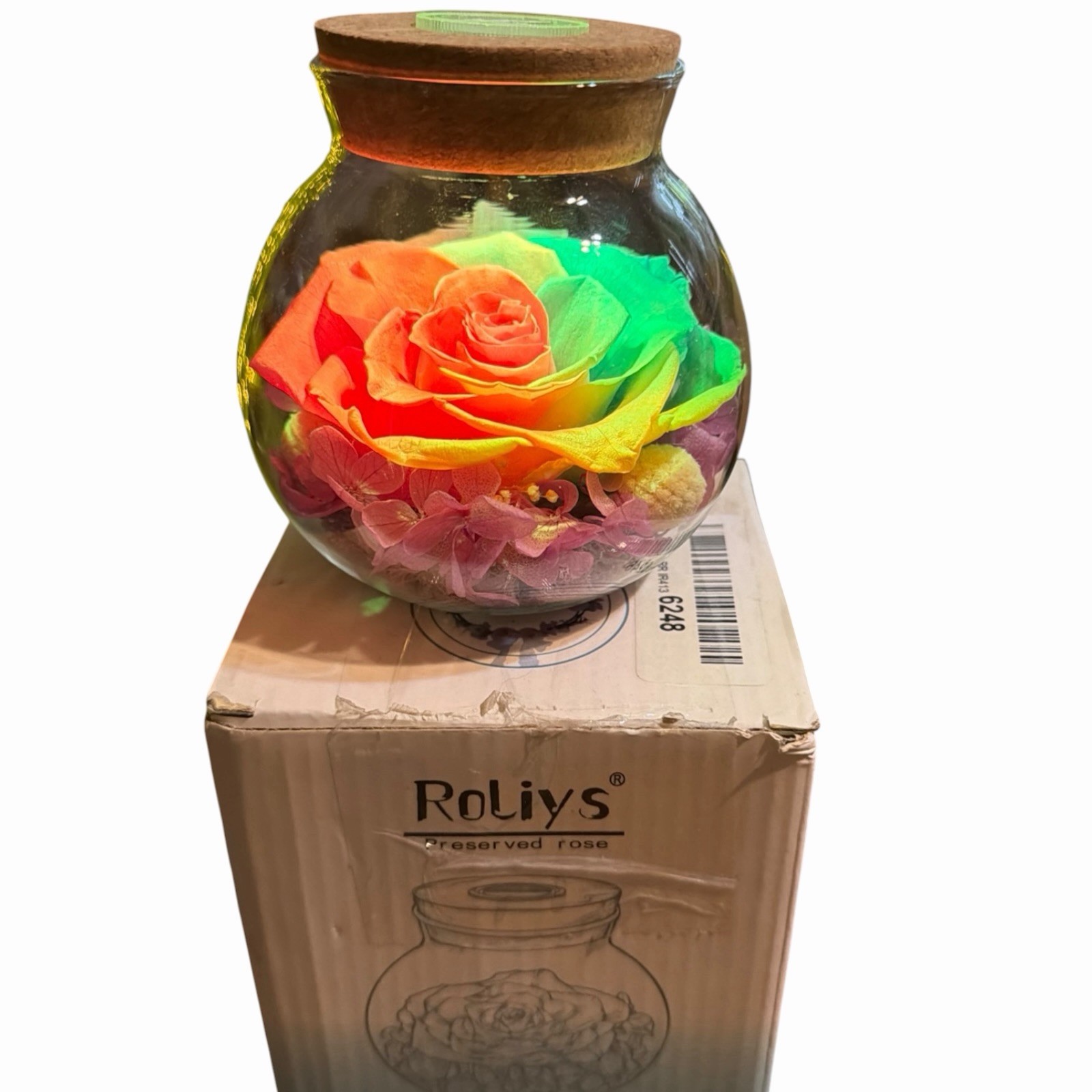 Real Preserved Rose Globe Eternal Rose Multicolor With Light Forever Flowers