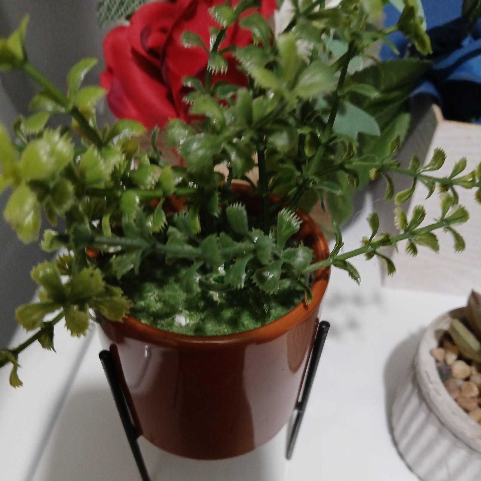 Decorative Fake Potted Succulents. New and Gently Used lot of 12