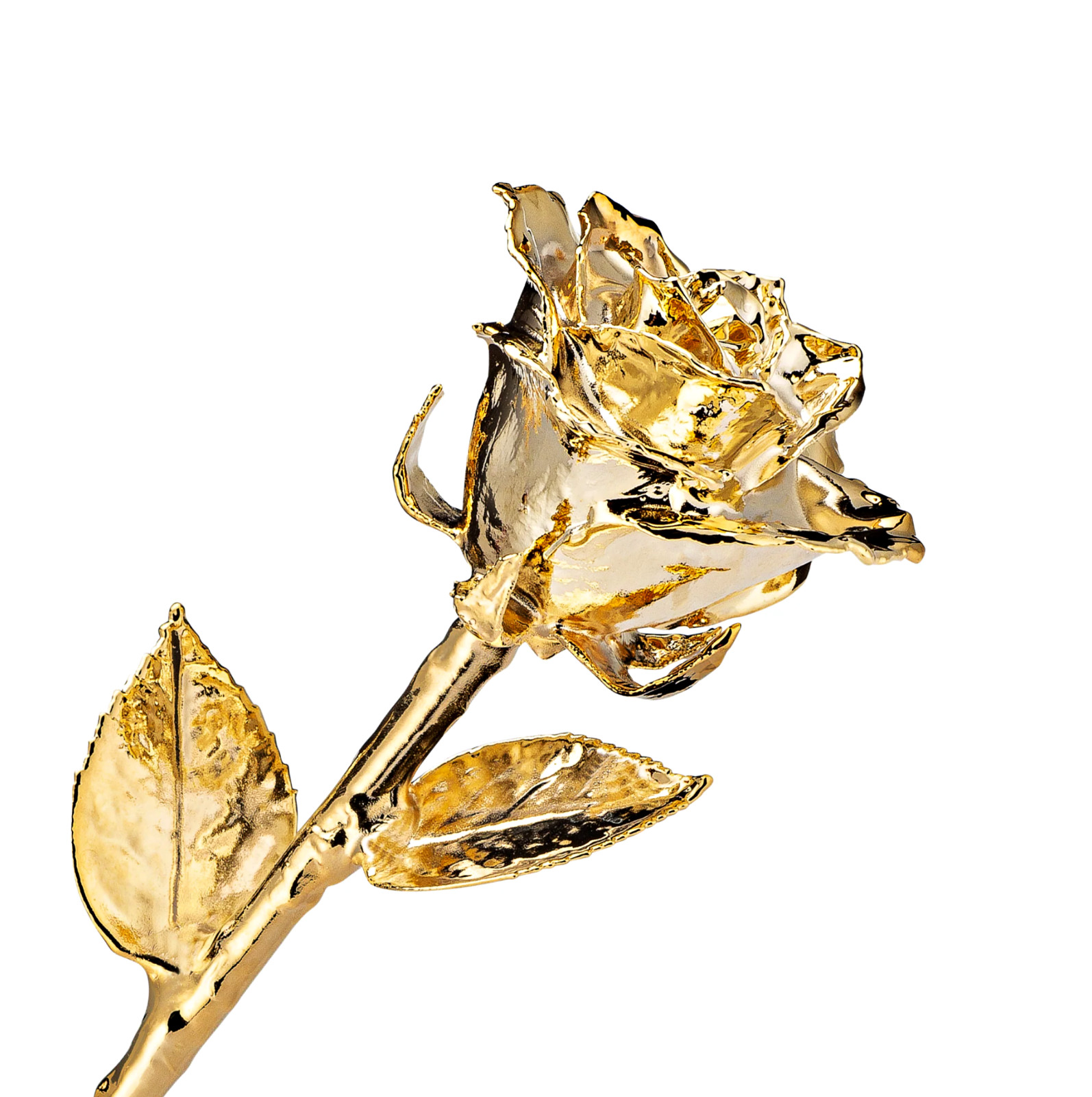 24K Gold Dipped Real Rose Handpicked Real Rose Preserved in 24K Gold USA