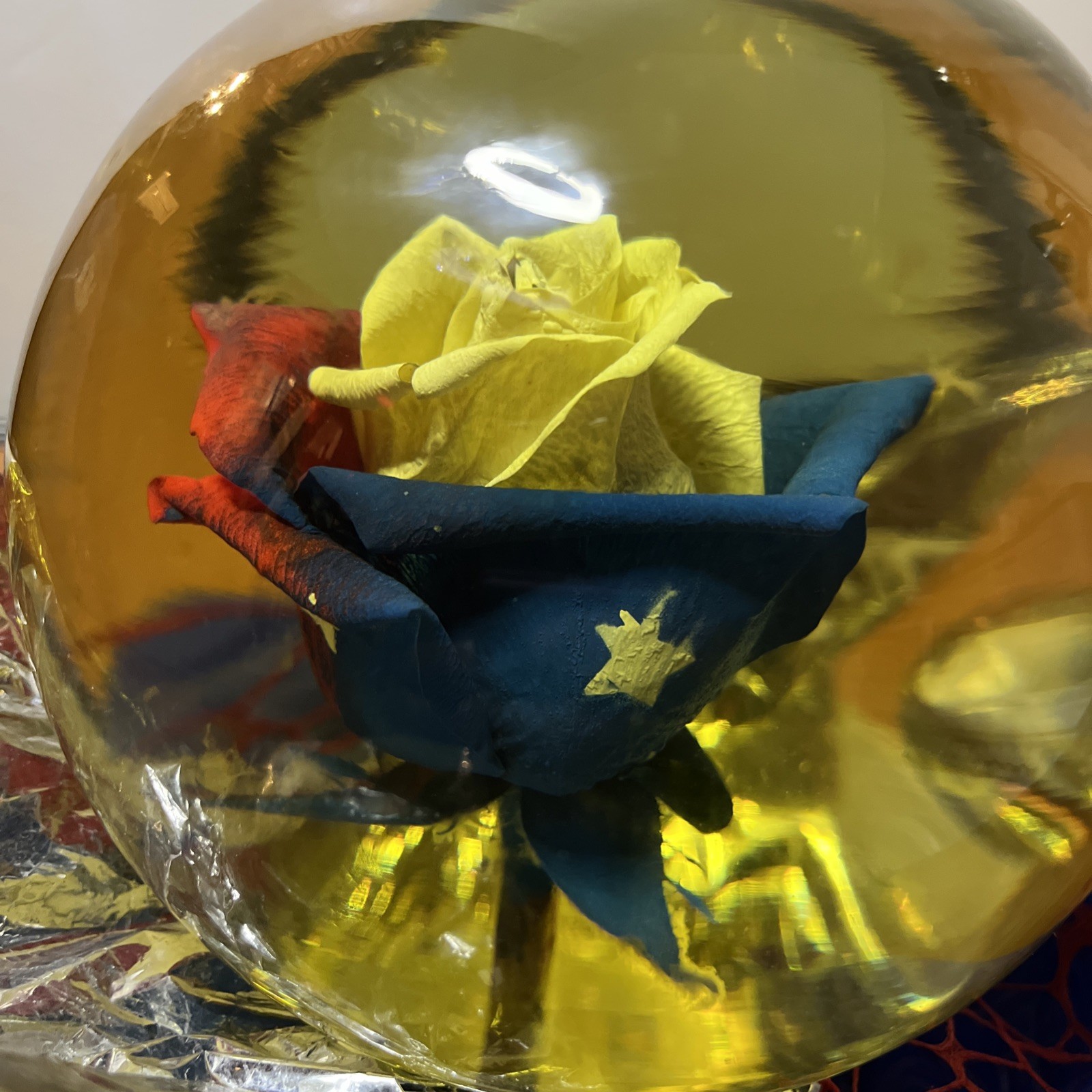 Forever American Flag ROSE In Glass Ball Water Dome Globe Large Real Rose 6”
