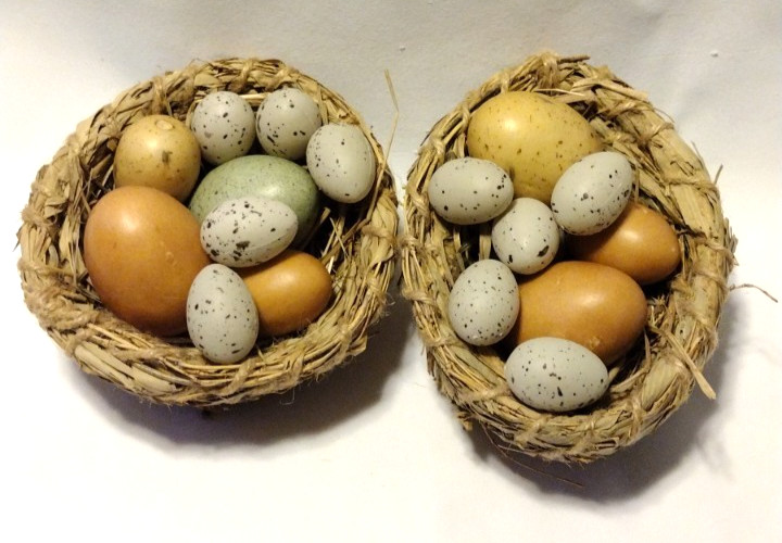 2 Faux Bird Nest w/ Speckled Eggs Easter Spring Decor Rustic Farmhouse AB