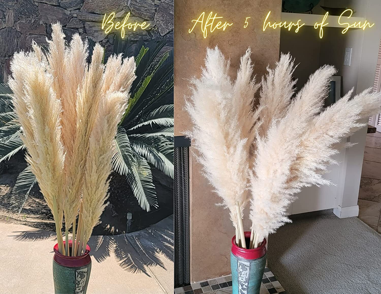 Decor Unicorn Tall Pampas Grass for Floor Vase -6 46″ Large Pampas Grass Stems f