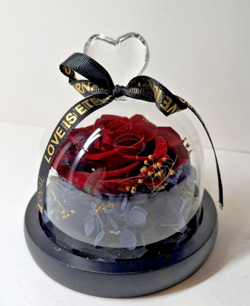 Real Preserved Forever Rose LED Eternal Rose For Your Eternal Love In Glass Dome