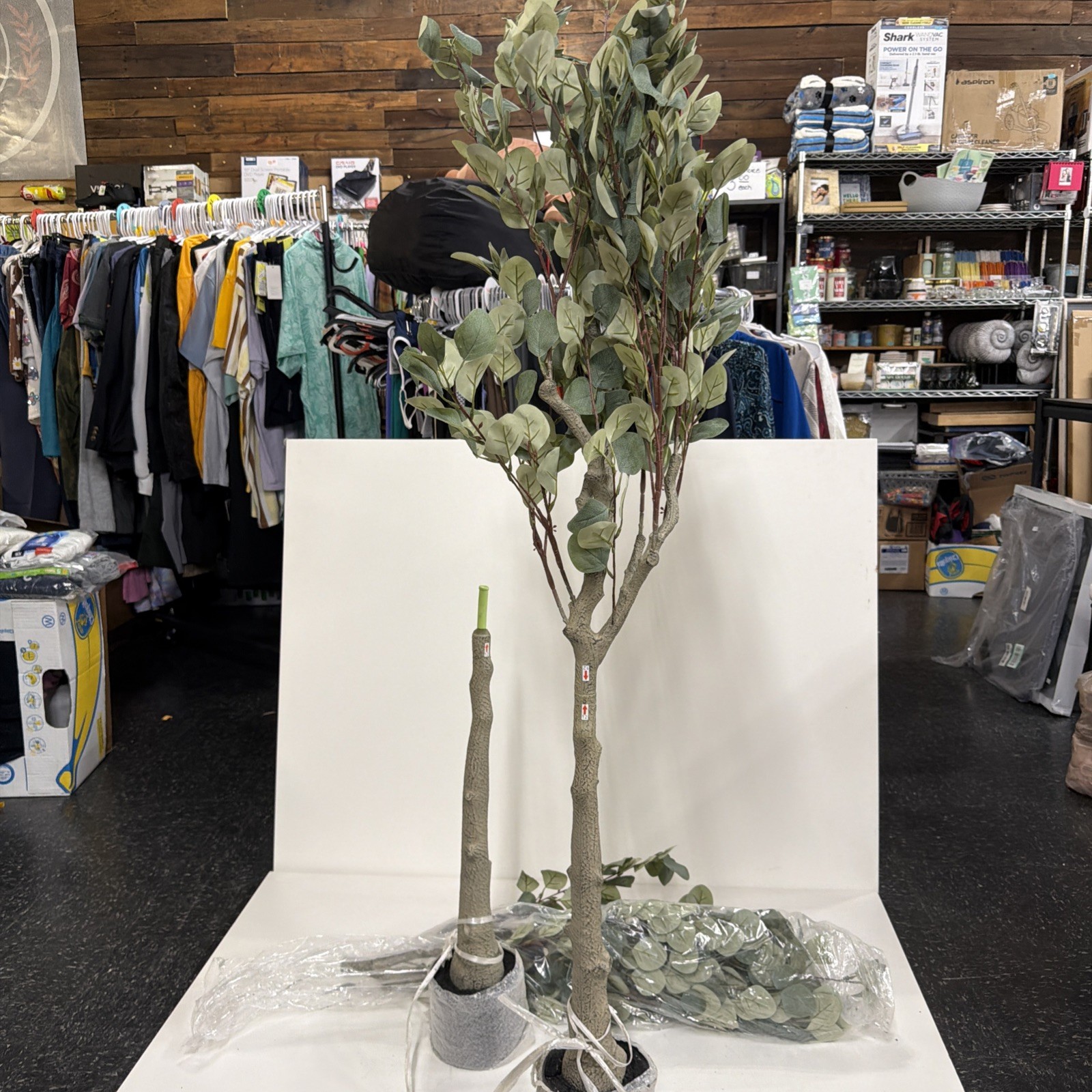 2 Pack 5 Ft Artificial Eucalyptus Trees. Read!