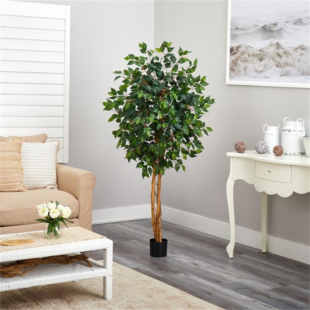 Pemberly Row 60″ Ficus Tree with Natural Wood Trunks in Green/Black