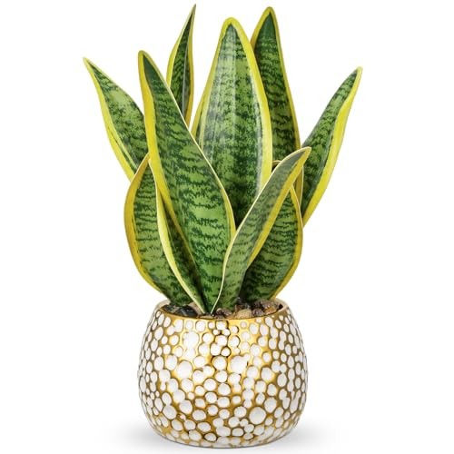 Artificial Snake Plant Potted Faux Sansevieria Trifasciata Green-13″ Style 2