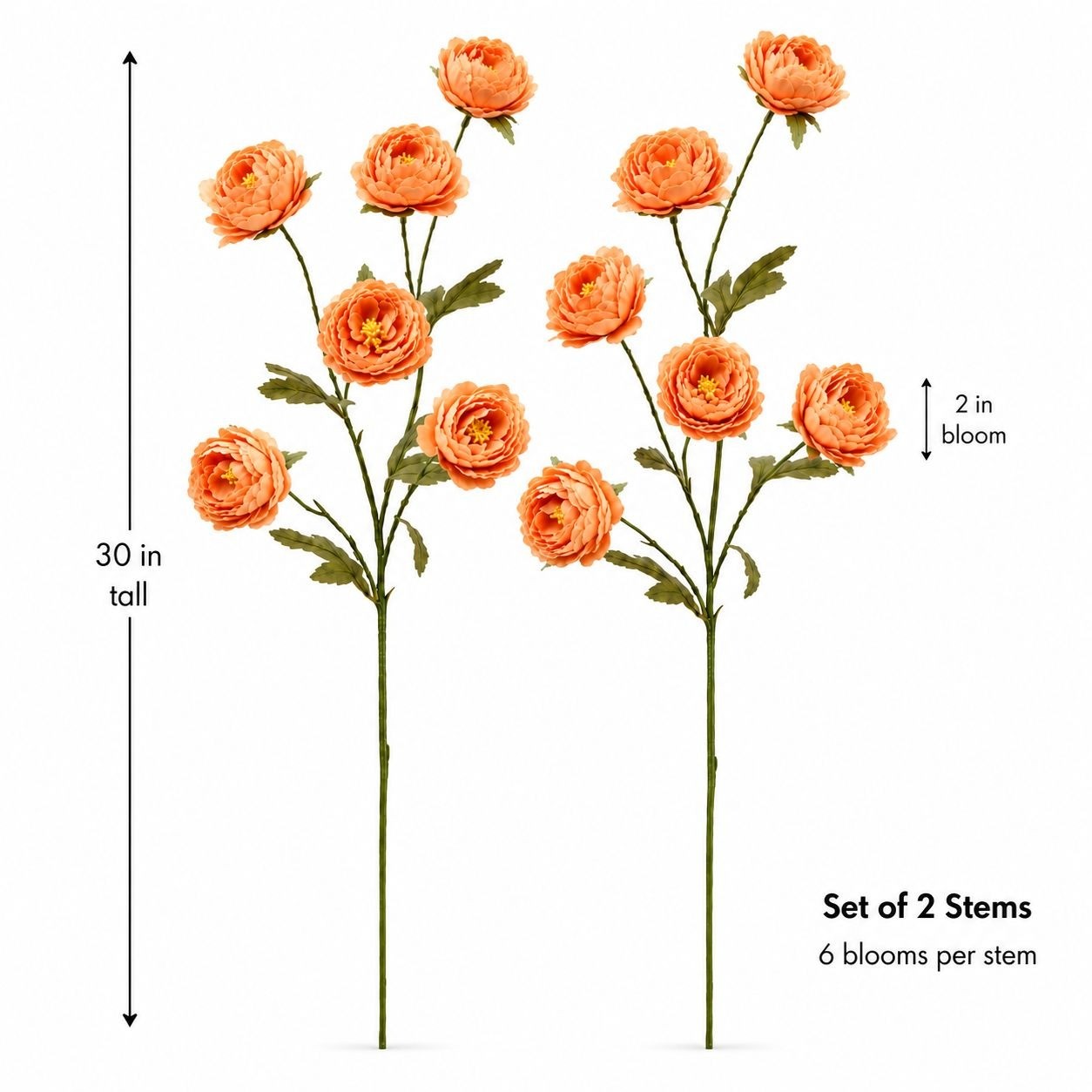 Apricot Peach Ranunculus Peony Stems Set of 2, 30 Inch Artificial Flowers for Fa
