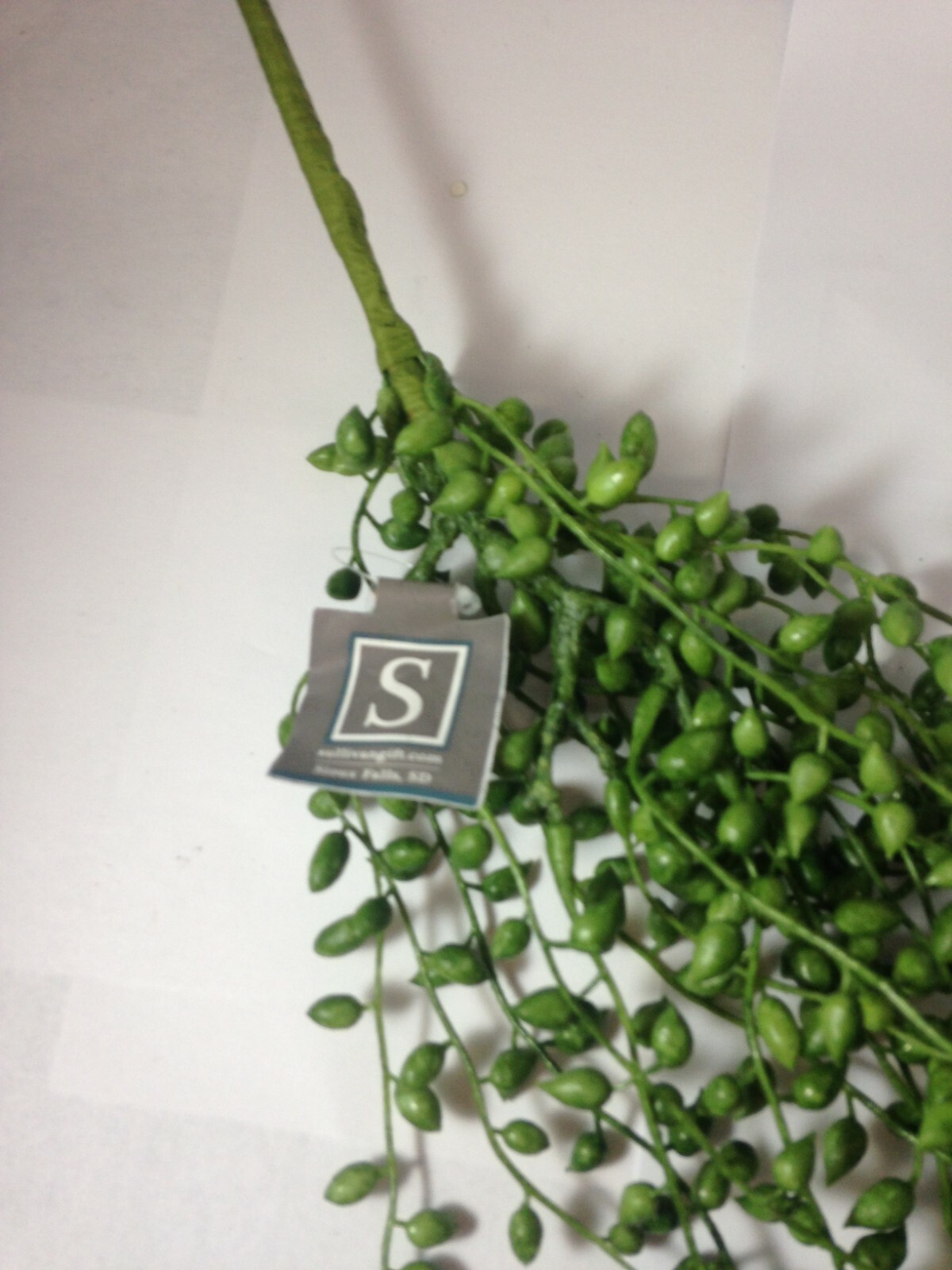 Sullivans Artificial String Of Pearls Vine Plant 17″H Green