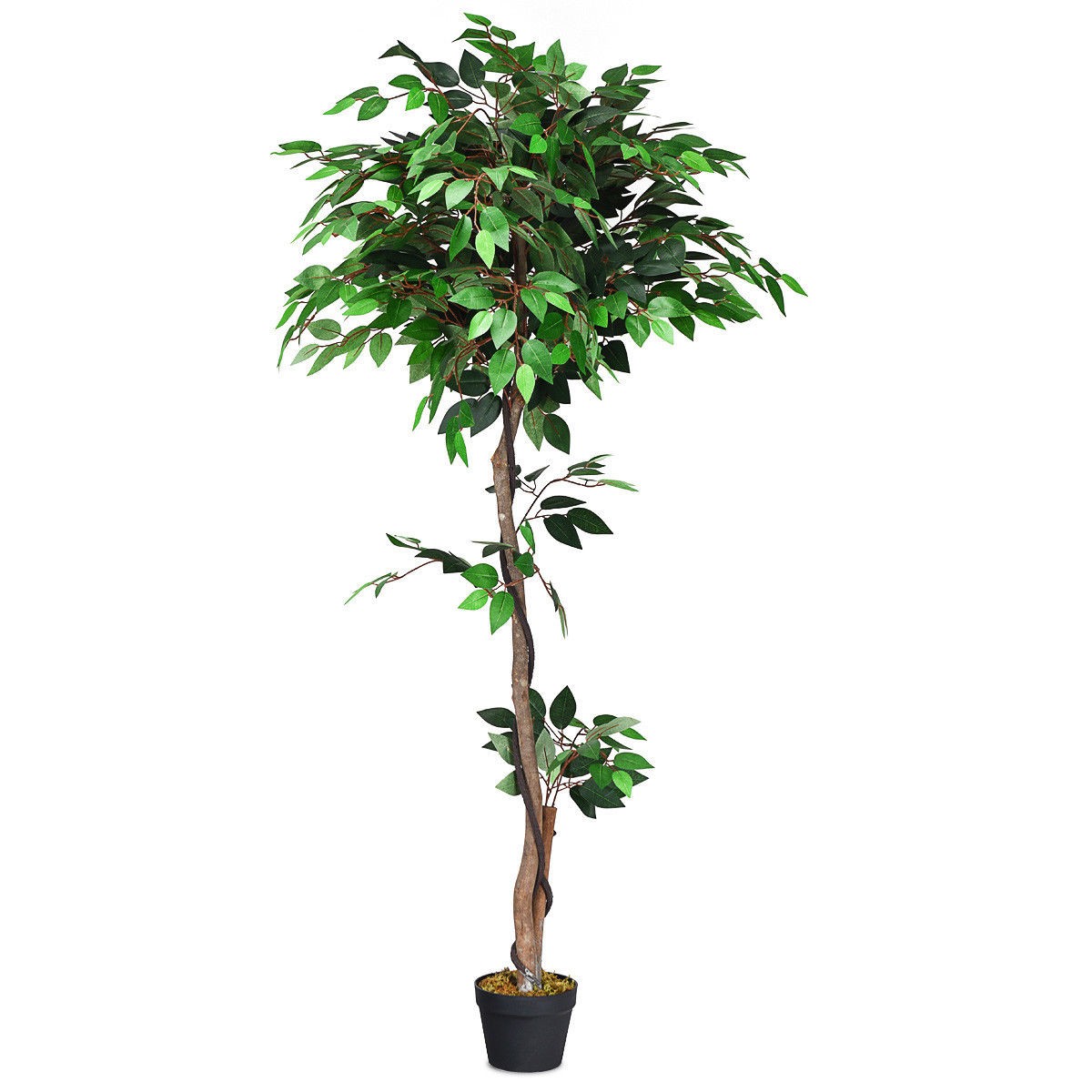 Artificial Ficus Silk Tree Wood Trunks Green 5.5 Feet Holiday Decor