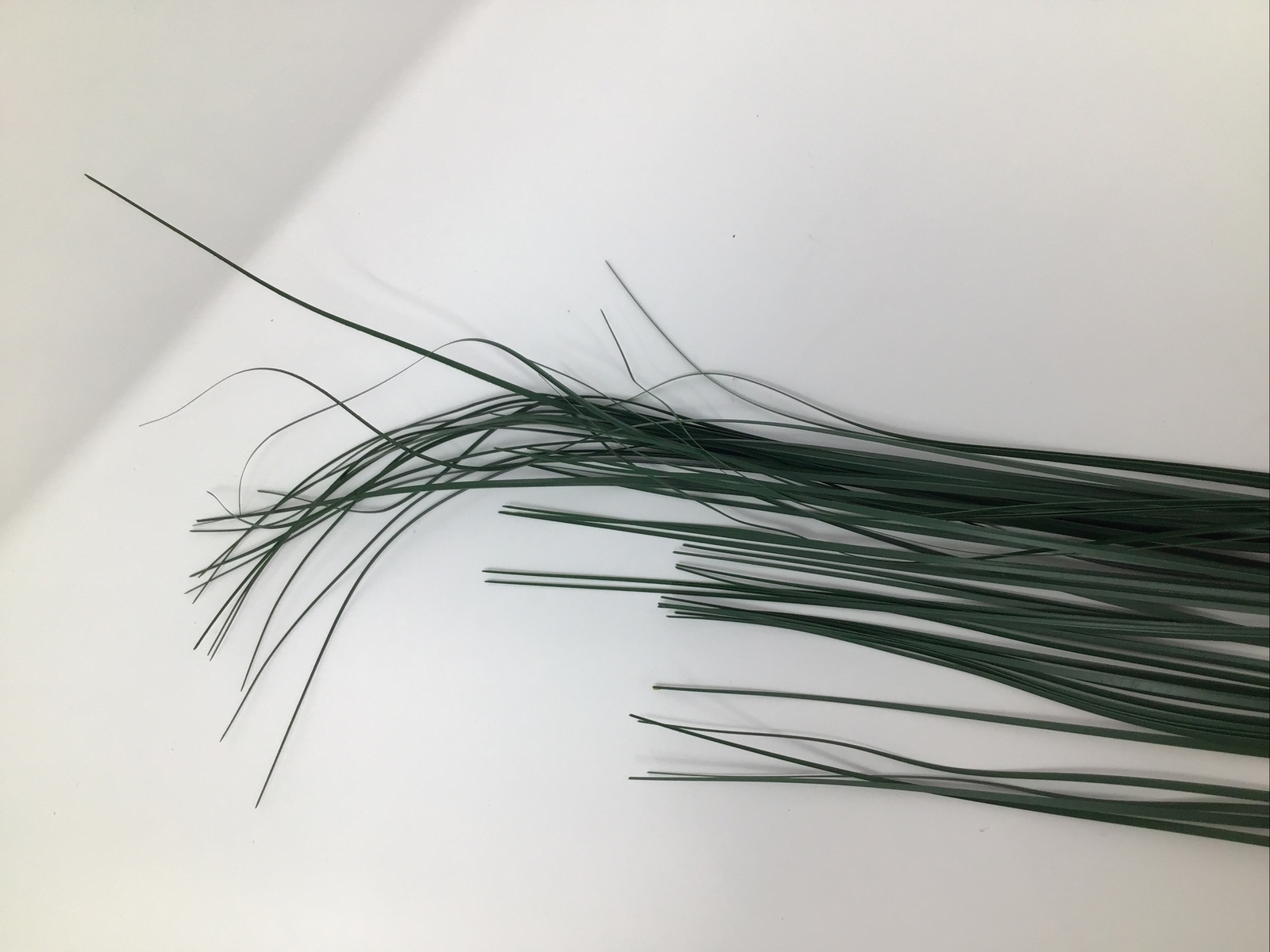 Onion Grass Floral Pick 34” Vase Basket Filler 2 Picks Vintage