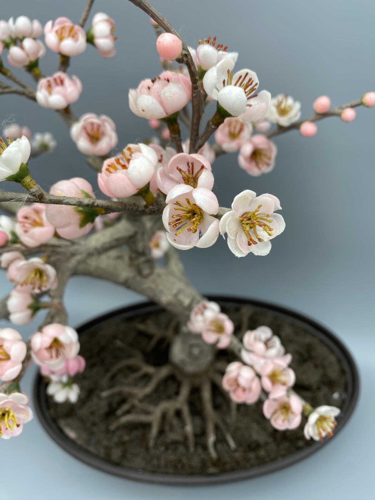 Nearly Natural Artificial Trees 15″ Cherry Blossom Plastic Pot Indoor Black/Pink