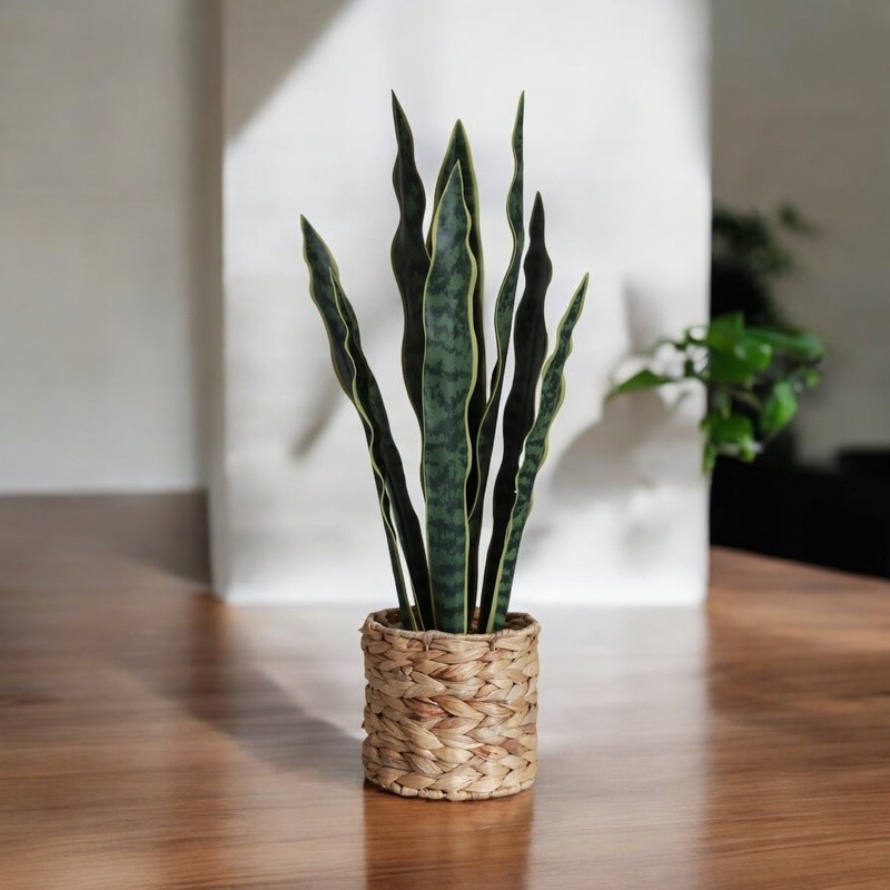 24.3 Inch Artificial Snake Plant in Rattan Basket Decor Indoor Office Home New