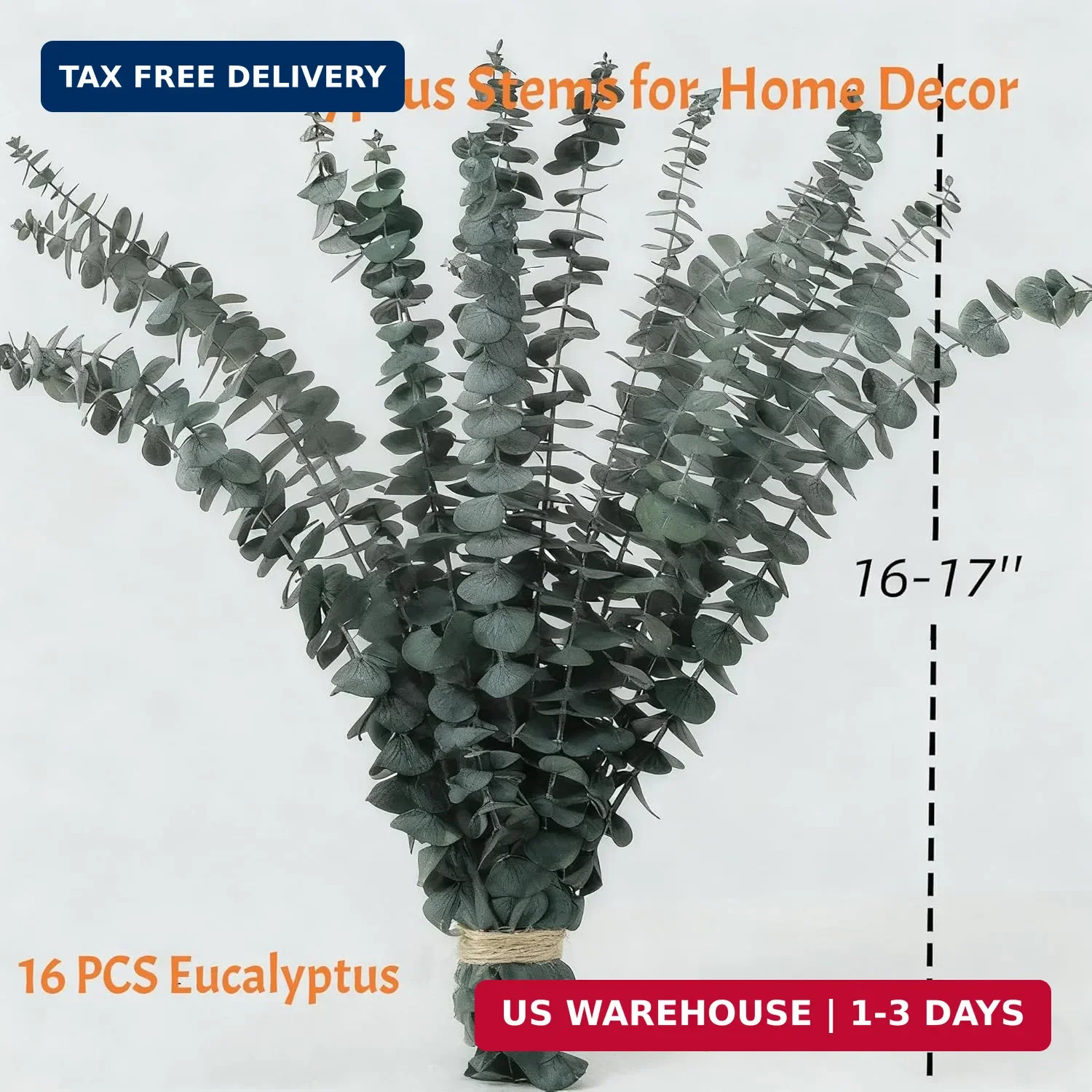 16 Pcs Dried Eucalyptus Stems, 17″ Real Preserved Eucalyptus Bouquet for Wedding