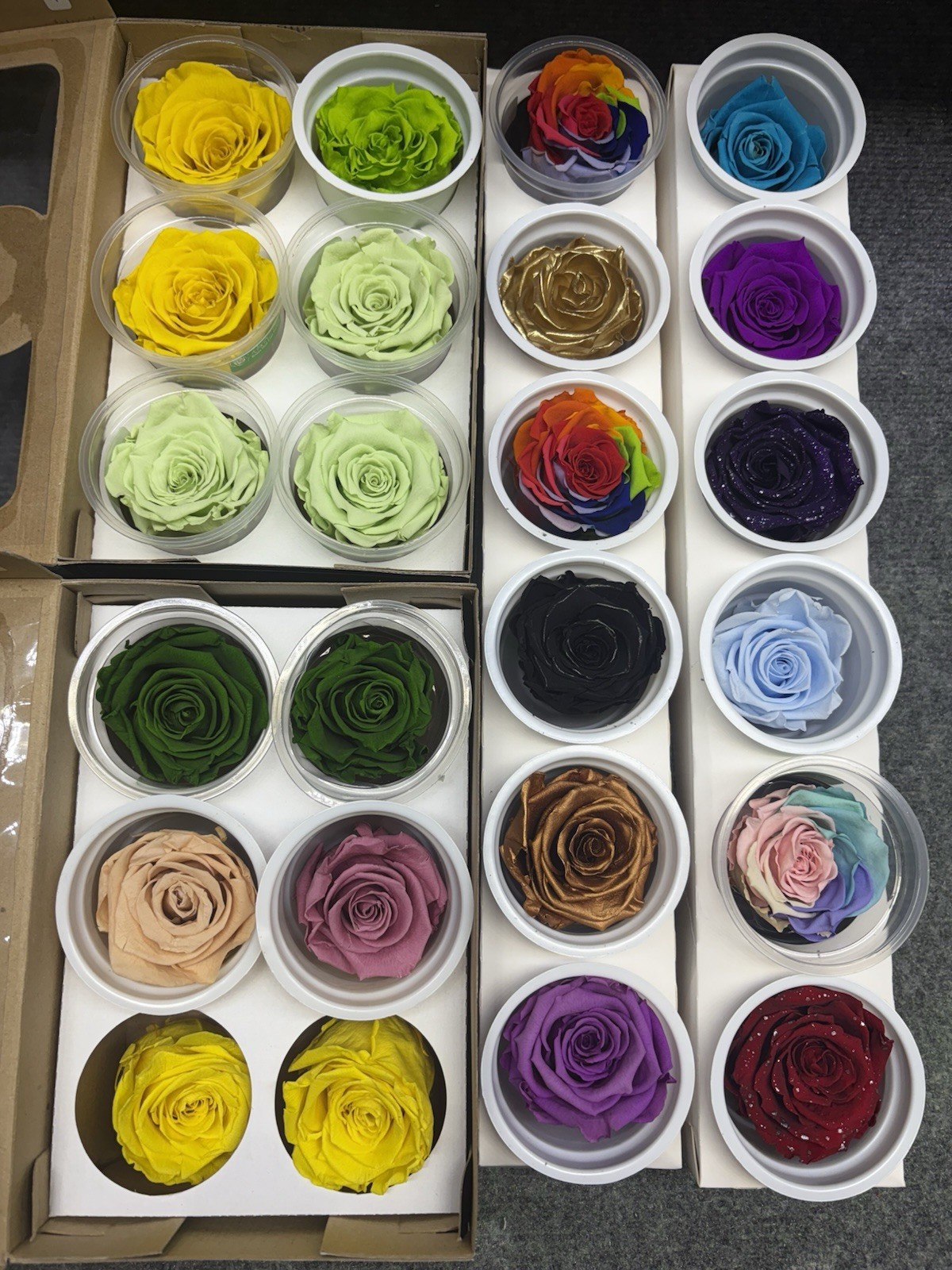 Eternal Roses Bulk 10 Packs of 6