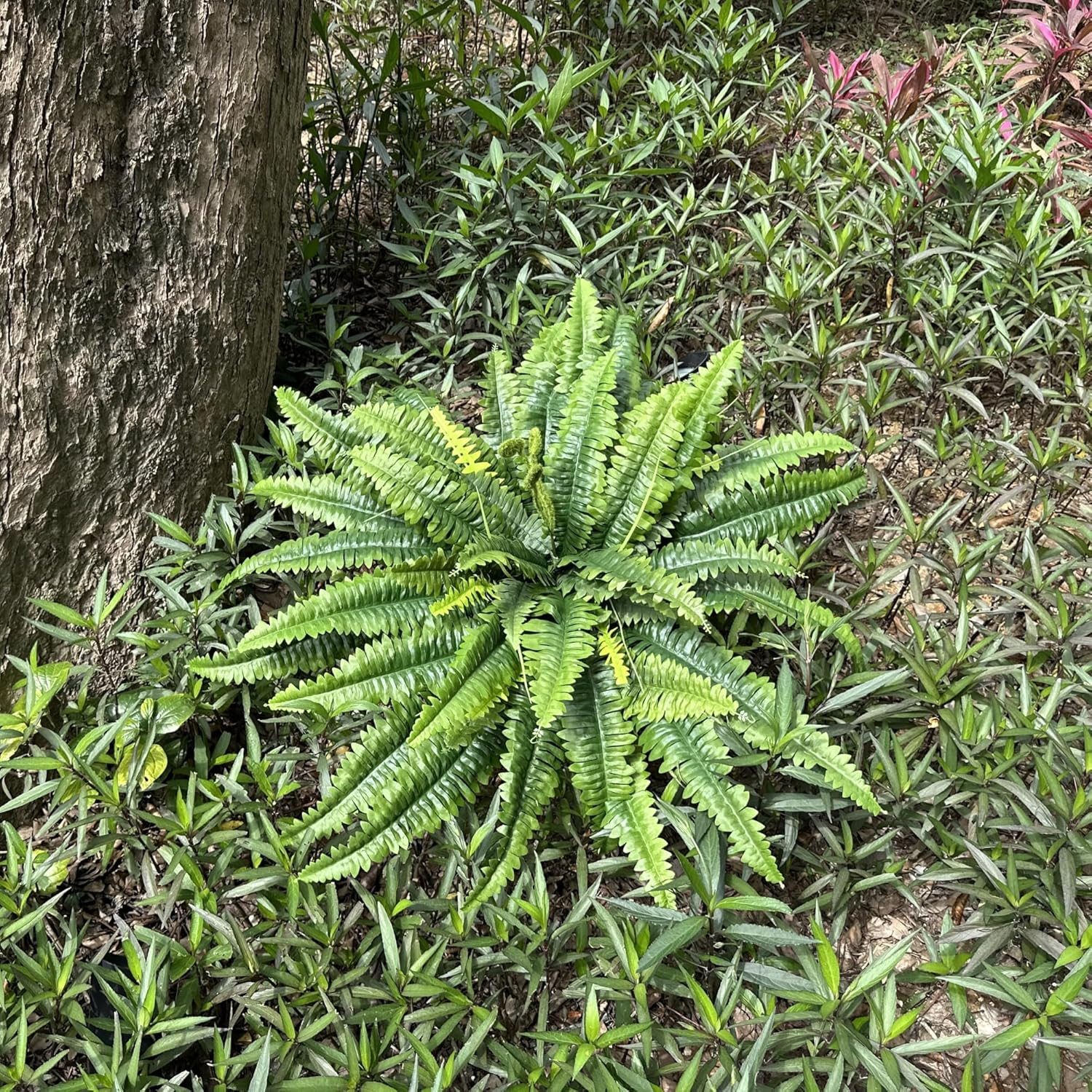 Artificial Ferns for Outdoors & Indoors, 45In Large Fake Ferns Plants with 55 Fr