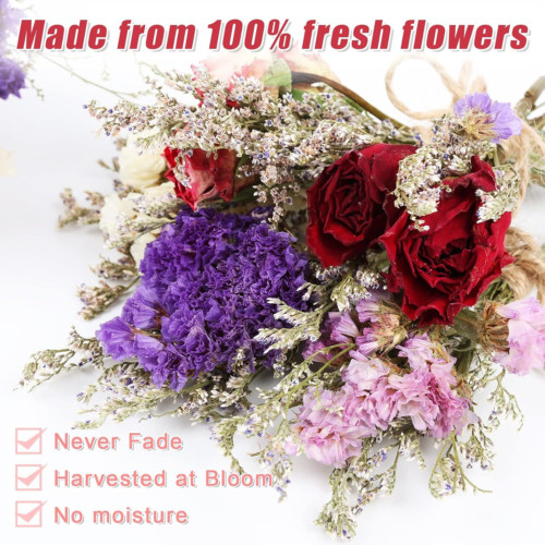 10 Pack Dried Flower Forget Me Not Bouquets Natural Dried Flower with Stem