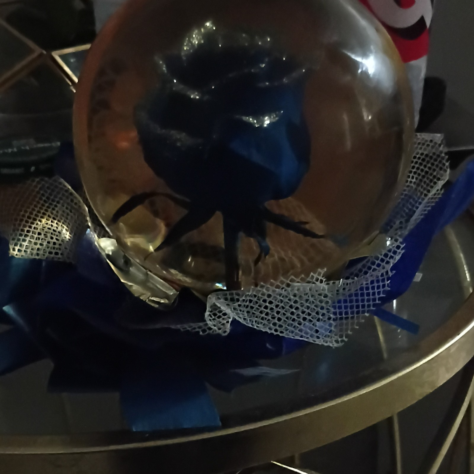 blue rose that doesn’t get old inside a circle glass container