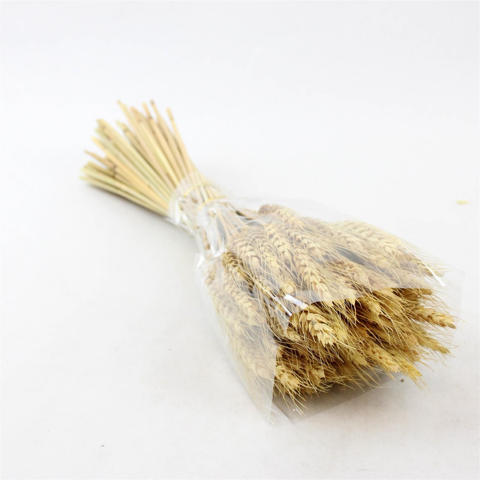 100 Stems Dried Natural Wheat Stalks Bundle for Crafts Home Decor 16.5in
