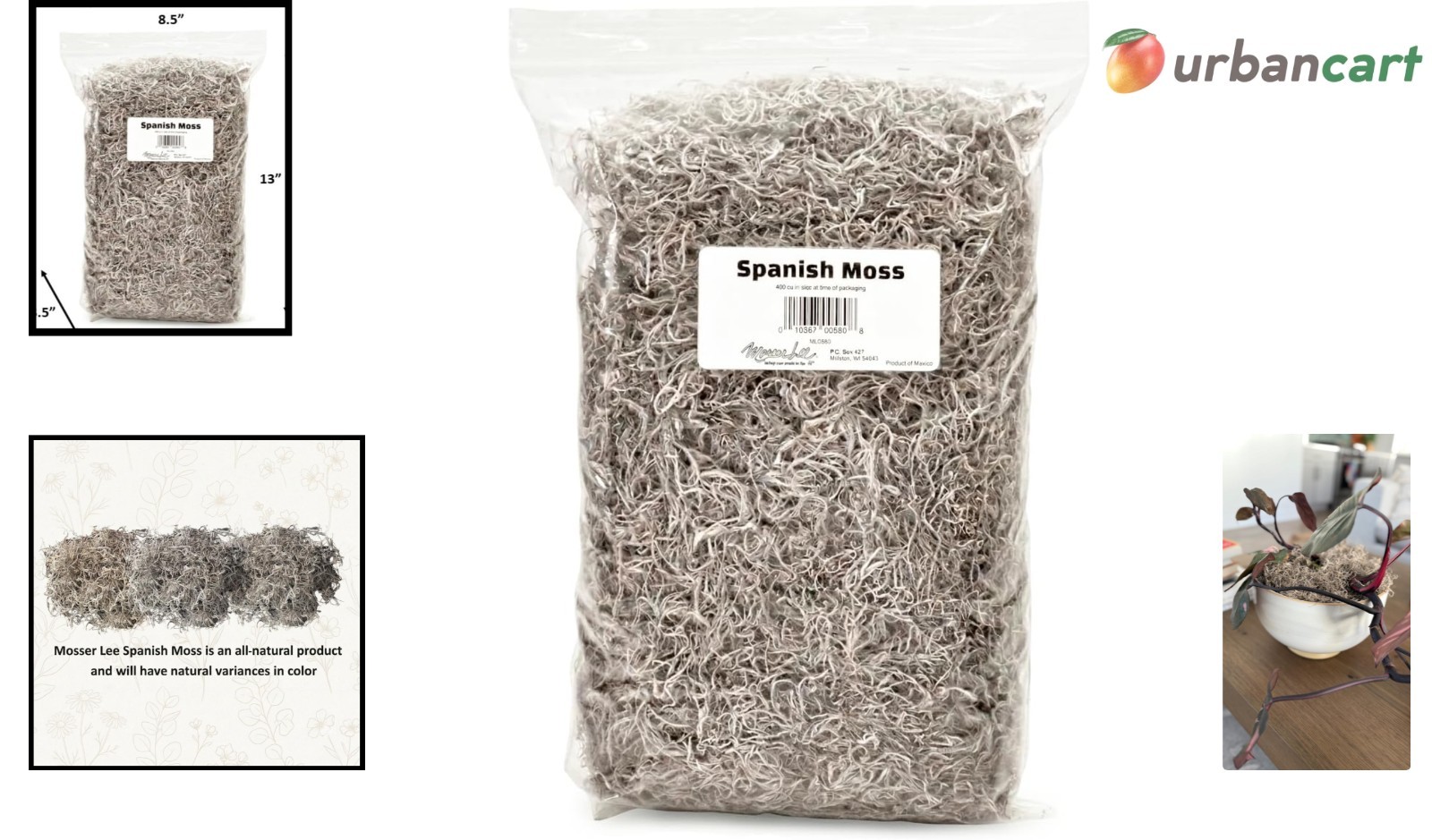 Natural Spanish Moss for Decor, Crafts & Plant Care